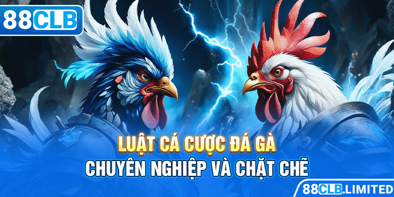 Luật cá cược đá gà chuyên nghiệp và chặt chẽ