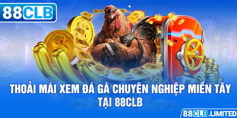 Thoải mái xem đá gà chuyên nghiệp miền Tây tại 88CLB